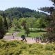 Visit Gresham, Oregon's Main City Park: Your Guide | Living in Oregon: Moving Tips, Cost of Living & Best Cities