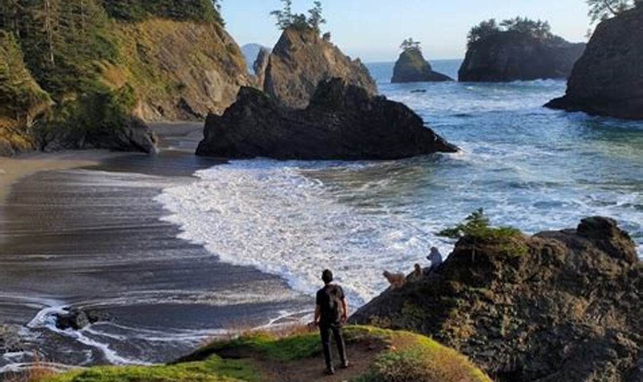 Top-Rated Best Hikes Oregon Coast Trails & Views Living in Oregon: Moving Tips, Cost of Living & Best Cities Top-Rated Best Hikes Oregon Coast Trails & Views | Living in Oregon: Moving Tips, Cost of Living & Best Cities