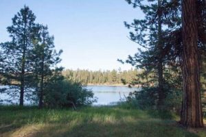 Explore Delintment Lake Oregon: A Water Quality Gem Living in Oregon: Moving Tips, Cost of Living & Best Cities Explore Delintment Lake Oregon: A Water Quality Gem | Living in Oregon: Moving Tips, Cost of Living & Best Cities