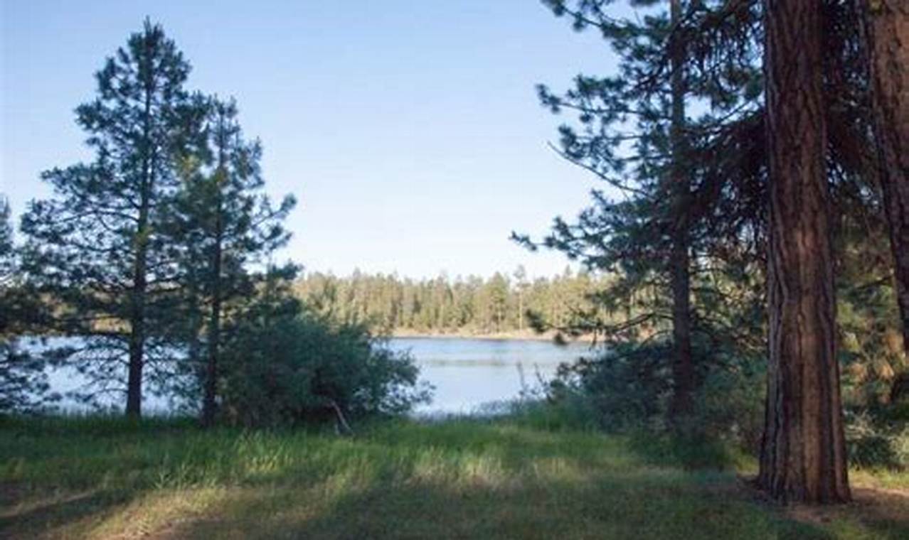 Explore Delintment Lake Oregon: A Water Quality Gem Living in Oregon: Moving Tips, Cost of Living & Best Cities Explore Delintment Lake Oregon: A Water Quality Gem | Living in Oregon: Moving Tips, Cost of Living & Best Cities