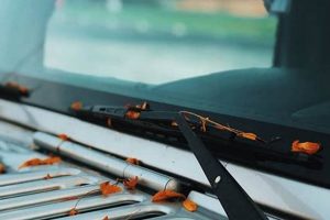 Fast & Reliable Windshield Replacement Portland Oregon Service Living in Oregon: Moving Tips, Cost of Living & Best Cities Fast & Reliable Windshield Replacement Portland Oregon Service | Living in Oregon: Moving Tips, Cost of Living & Best Cities