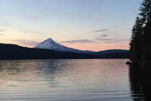 Your Guide to Fishing Timothy Lake, Oregon: Tips & More Living in Oregon: Moving Tips, Cost of Living & Best Cities Your Guide to Fishing Timothy Lake, Oregon: Tips & More | Living in Oregon: Moving Tips, Cost of Living & Best Cities