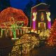A Portland Christmas: Grotto Lights & Magic | Living in Oregon: Moving Tips, Cost of Living & Best Cities