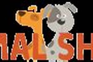 Roseburg's Douglas County Animal Shelter: Find Pets & Support! Living in Oregon: Moving Tips, Cost of Living & Best Cities Roseburg's Douglas County Animal Shelter: Find Pets & Support! | Living in Oregon: Moving Tips, Cost of Living & Best Cities