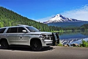 Oregon State Police Cars: Patrol, Pursuit & More Living in Oregon: Moving Tips, Cost of Living & Best Cities Oregon State Police Cars: Patrol, Pursuit & More | Living in Oregon: Moving Tips, Cost of Living & Best Cities