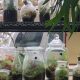 Grow Your Green: Terrarium Portland Oregon Guide | Living in Oregon: Moving Tips, Cost of Living & Best Cities