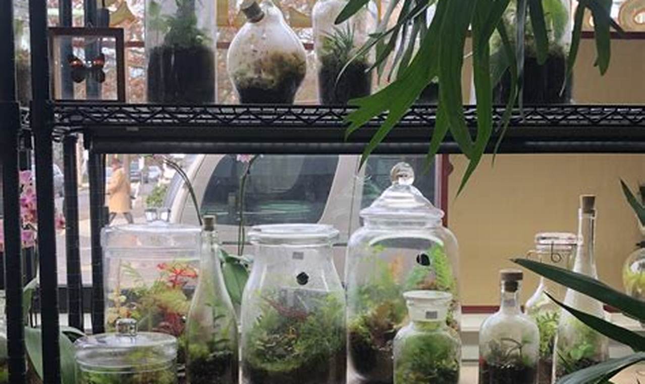 Grow Your Green: Terrarium Portland Oregon Guide Living in Oregon: Moving Tips, Cost of Living & Best Cities Grow Your Green: Terrarium Portland Oregon Guide | Living in Oregon: Moving Tips, Cost of Living & Best Cities
