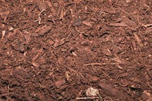 Mulch Delivery Portland Oregon Living in Oregon: Moving Tips, Cost of Living & Best Cities Mulch Delivery Portland Oregon | Living in Oregon: Moving Tips, Cost of Living & Best Cities