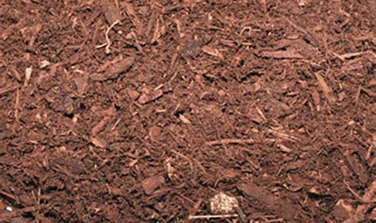 Mulch Delivery Portland Oregon Living in Oregon: Moving Tips, Cost of Living & Best Cities Mulch Delivery Portland Oregon | Living in Oregon: Moving Tips, Cost of Living & Best Cities