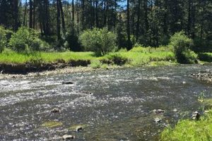Visit Hilgard State Park Oregon: A La Grande Gem! Living in Oregon: Moving Tips, Cost of Living & Best Cities Visit Hilgard State Park Oregon: A La Grande Gem! | Living in Oregon: Moving Tips, Cost of Living & Best Cities