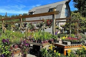 Nursery Redmond Oregon Living in Oregon: Moving Tips, Cost of Living & Best Cities Nursery Redmond Oregon | Living in Oregon: Moving Tips, Cost of Living & Best Cities