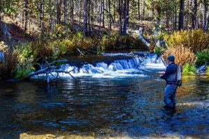 Your Guide to Bend Oregon Fishing: Spots & Tips Living in Oregon: Moving Tips, Cost of Living & Best Cities Your Guide to Bend Oregon Fishing: Spots & Tips | Living in Oregon: Moving Tips, Cost of Living & Best Cities