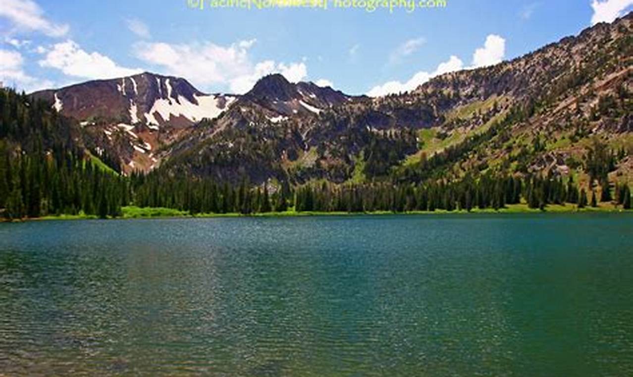 Hiking Near Aneroid Lake, Oregon: Guide & Tips! Living in Oregon: Moving Tips, Cost of Living & Best Cities Hiking Near Aneroid Lake, Oregon: Guide & Tips! | Living in Oregon: Moving Tips, Cost of Living & Best Cities