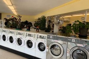 Find: Laundromat Portland Oregon + Best Options Living in Oregon: Moving Tips, Cost of Living & Best Cities Find: Laundromat Portland Oregon + Best Options | Living in Oregon: Moving Tips, Cost of Living & Best Cities