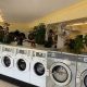 Find: Laundromat Portland Oregon + Best Options | Living in Oregon: Moving Tips, Cost of Living & Best Cities