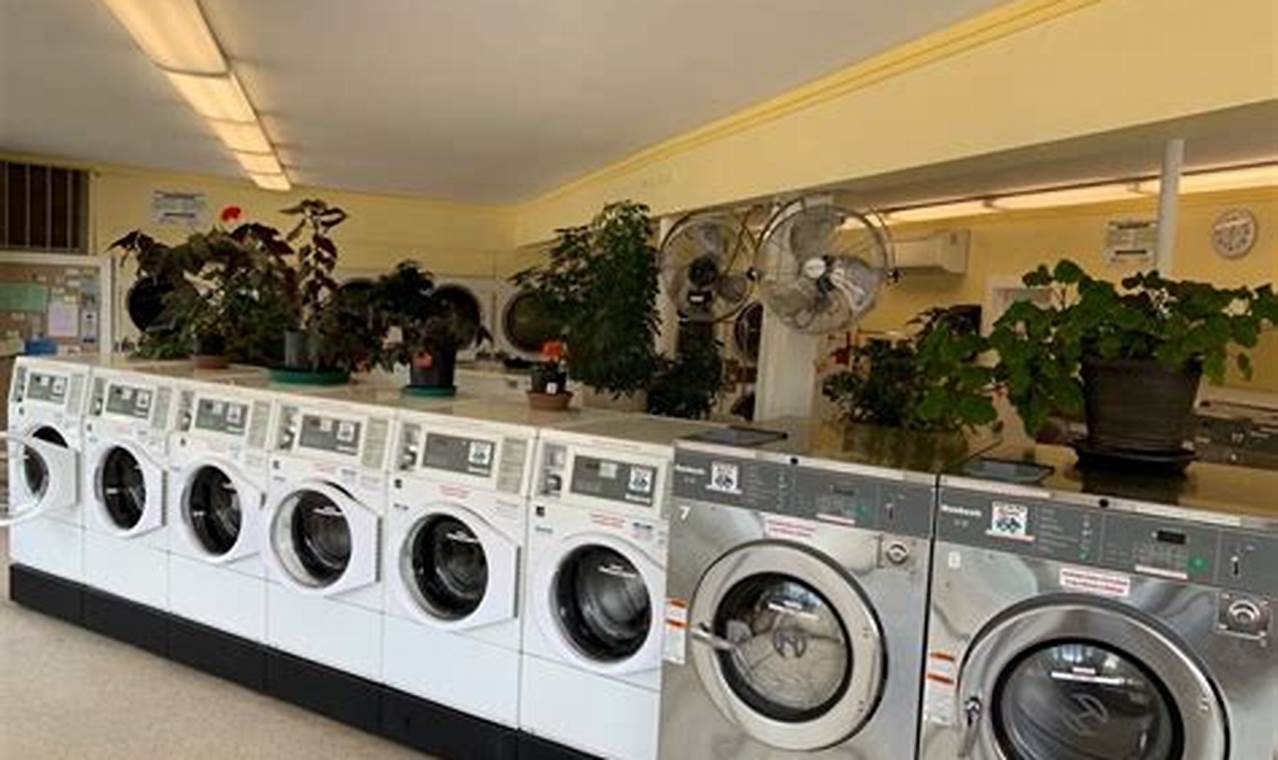 Find: Laundromat Portland Oregon + Best Options Living in Oregon: Moving Tips, Cost of Living & Best Cities Find: Laundromat Portland Oregon + Best Options | Living in Oregon: Moving Tips, Cost of Living & Best Cities