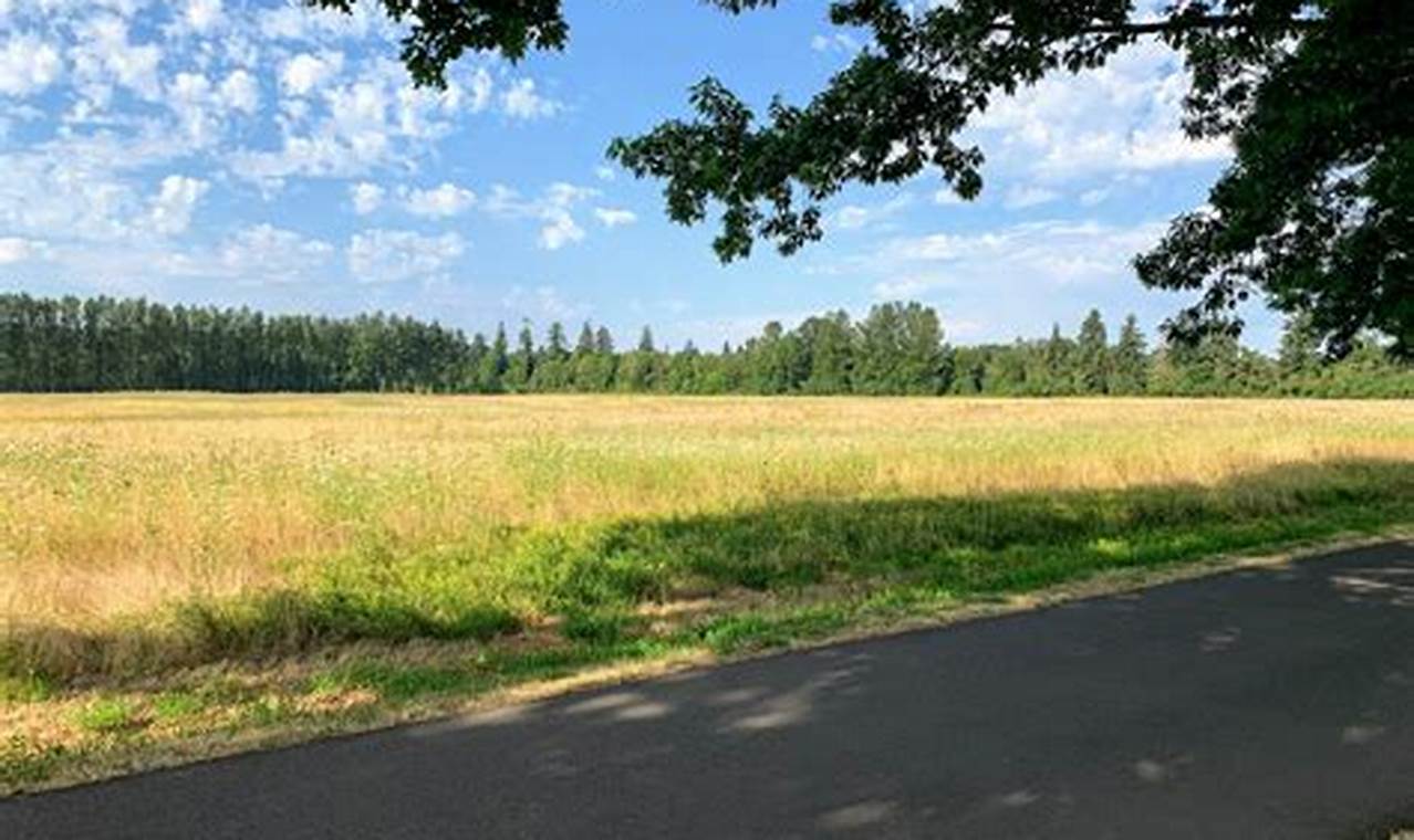 Salem Or To Lincoln City Oregon Living in Oregon: Moving Tips, Cost of Living & Best Cities Salem Or To Lincoln City Oregon | Living in Oregon: Moving Tips, Cost of Living & Best Cities