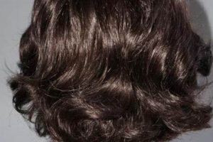 Top Wig Stores in Portland, OR: Your Ultimate Guide Living in Oregon: Moving Tips, Cost of Living & Best Cities Top Wig Stores in Portland, OR: Your Ultimate Guide | Living in Oregon: Moving Tips, Cost of Living & Best Cities