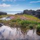 Explore the Best Tide Pools on the Oregon Coast Today | Living in Oregon: Moving Tips, Cost of Living & Best Cities