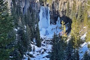Bend Oregon Winter Fun: Top Things To Do in Bend, Oregon! Living in Oregon: Moving Tips, Cost of Living & Best Cities Bend Oregon Winter Fun: Top Things To Do in Bend, Oregon! | Living in Oregon: Moving Tips, Cost of Living & Best Cities