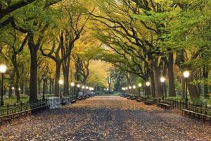 Living in Portland Heights, Oregon: Your Complete Guide Living in Oregon: Moving Tips, Cost of Living & Best Cities Living in Portland Heights, Oregon: Your Complete Guide | Living in Oregon: Moving Tips, Cost of Living & Best Cities