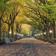 Living in Portland Heights, Oregon: Your Complete Guide | Living in Oregon: Moving Tips, Cost of Living & Best Cities
