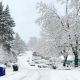 Does It Snow In Salem Oregon | Living in Oregon: Moving Tips, Cost of Living & Best Cities