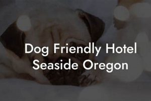 Find: Pet Friendly Hotels Springfield Oregon Guide Living in Oregon: Moving Tips, Cost of Living & Best Cities Find: Pet Friendly Hotels Springfield Oregon Guide | Living in Oregon: Moving Tips, Cost of Living & Best Cities