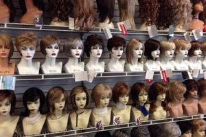 Wigs In Portland Oregon Living in Oregon: Moving Tips, Cost of Living & Best Cities Wigs In Portland Oregon | Living in Oregon: Moving Tips, Cost of Living & Best Cities