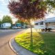 Best McMinnville RV Parks: Oregon Wine Country Camping | Living in Oregon: Moving Tips, Cost of Living & Best Cities