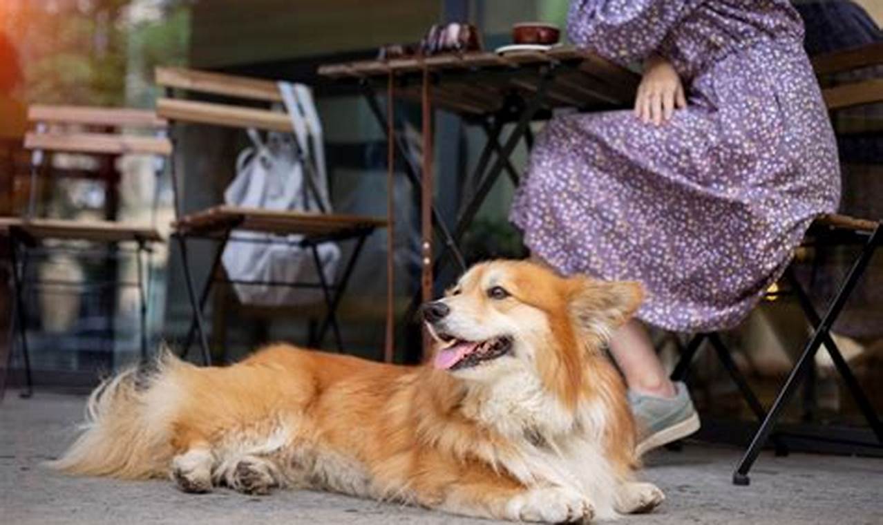 Pet Friendly Salem Oregon Living in Oregon: Moving Tips, Cost of Living & Best Cities Pet Friendly Salem Oregon | Living in Oregon: Moving Tips, Cost of Living & Best Cities