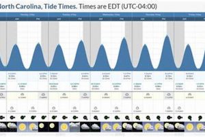 Explore Lincoln City Oregon Tides: Times, Charts & More! Living in Oregon: Moving Tips, Cost of Living & Best Cities Explore Lincoln City Oregon Tides: Times, Charts & More! | Living in Oregon: Moving Tips, Cost of Living & Best Cities