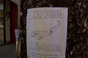 Urban Alligator: Rare Find in Portland, Oregon Shocks City! Living in Oregon: Moving Tips, Cost of Living & Best Cities Urban Alligator: Rare Find in Portland, Oregon Shocks City! | Living in Oregon: Moving Tips, Cost of Living & Best Cities