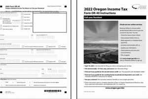 Oregon Form 40 Instructions: A Complete Guide Living in Oregon: Moving Tips, Cost of Living & Best Cities Oregon Form 40 Instructions: A Complete Guide | Living in Oregon: Moving Tips, Cost of Living & Best Cities