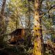 Oregon Coast Treehouse: Coastal Getaways & More | Living in Oregon: Moving Tips, Cost of Living & Best Cities