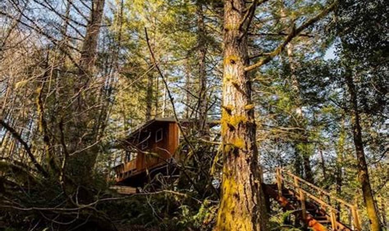 Oregon Coast Treehouse: Coastal Getaways & More Living in Oregon: Moving Tips, Cost of Living & Best Cities Oregon Coast Treehouse: Coastal Getaways & More | Living in Oregon: Moving Tips, Cost of Living & Best Cities