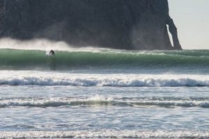 Your Guide to Surfing in Oregon Coast Fun! Living in Oregon: Moving Tips, Cost of Living & Best Cities Your Guide to Surfing in Oregon Coast Fun! | Living in Oregon: Moving Tips, Cost of Living & Best Cities