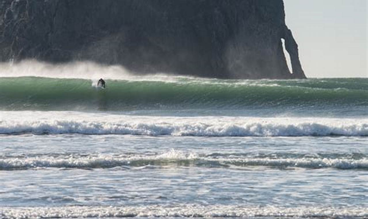 Your Guide to Surfing in Oregon Coast Fun! Living in Oregon: Moving Tips, Cost of Living & Best Cities Your Guide to Surfing in Oregon Coast Fun! | Living in Oregon: Moving Tips, Cost of Living & Best Cities