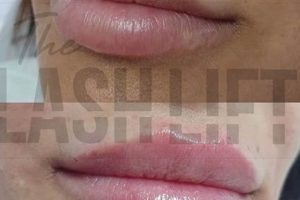 Lash Lift Portland Oregon Living in Oregon: Moving Tips, Cost of Living & Best Cities Lash Lift Portland Oregon | Living in Oregon: Moving Tips, Cost of Living & Best Cities