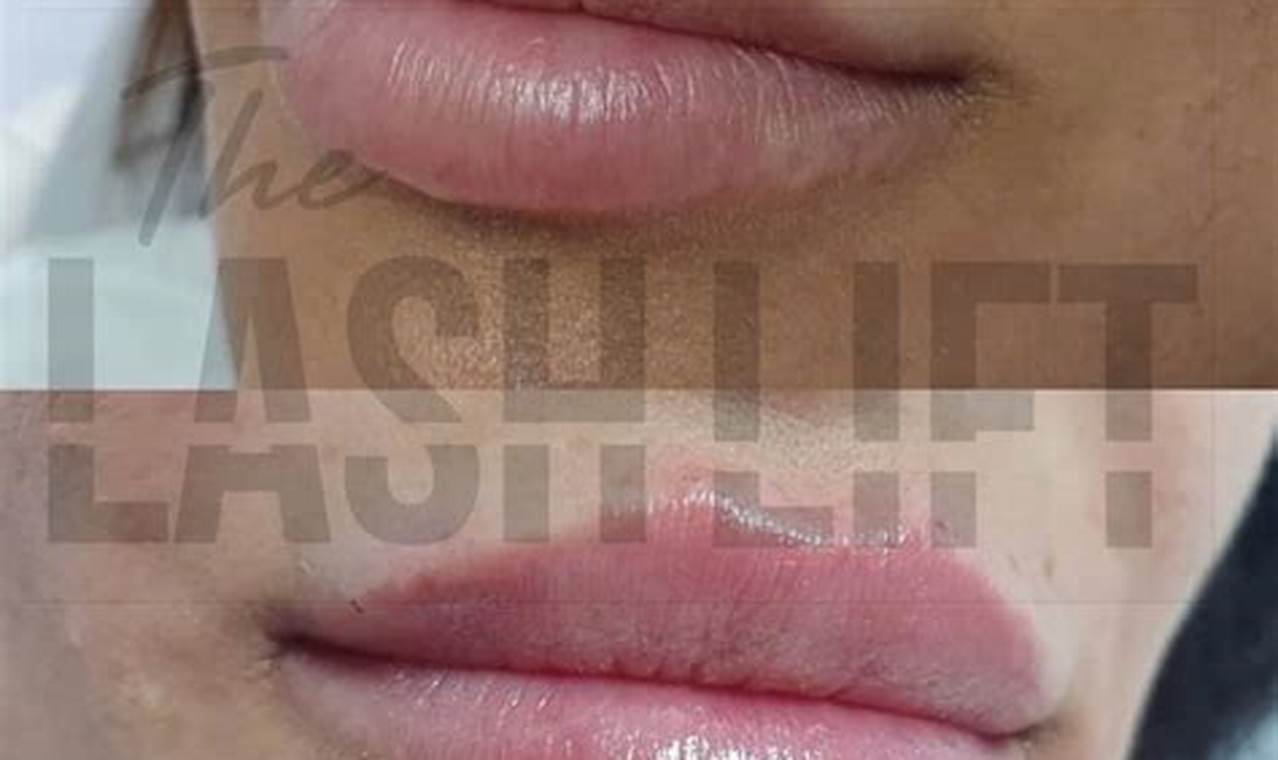 Lash Lift Portland Oregon Living in Oregon: Moving Tips, Cost of Living & Best Cities Lash Lift Portland Oregon | Living in Oregon: Moving Tips, Cost of Living & Best Cities