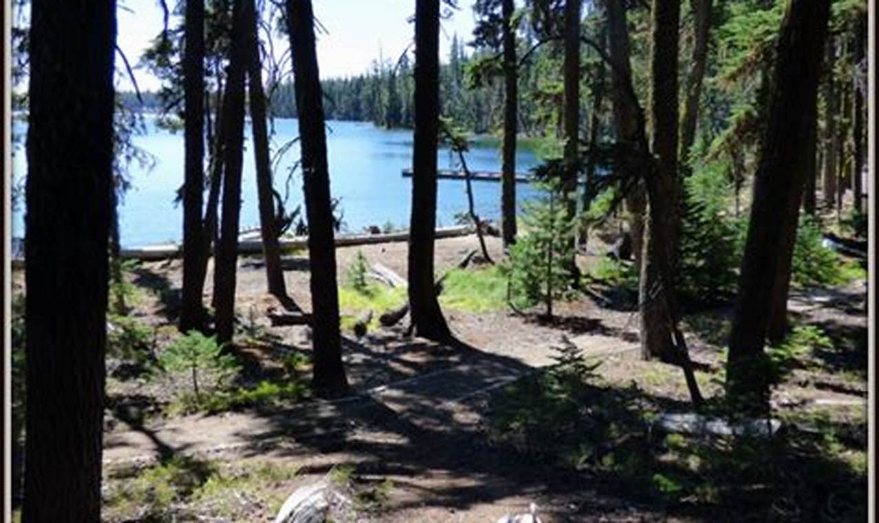 Camping at Miller Lake Campground, Oregon | Nature Awaits Living in Oregon: Moving Tips, Cost of Living & Best Cities Camping at Miller Lake Campground, Oregon | Nature Awaits | Living in Oregon: Moving Tips, Cost of Living & Best Cities