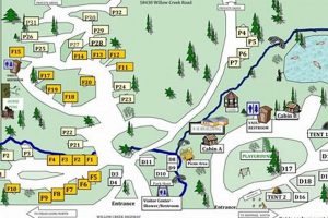 Visit Cutsforth Park, Oregon: Nature Awaits! Living in Oregon: Moving Tips, Cost of Living & Best Cities Visit Cutsforth Park, Oregon: Nature Awaits! | Living in Oregon: Moving Tips, Cost of Living & Best Cities