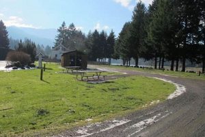 Your Guide: Marine Park Campground Oregon Adventures! Living in Oregon: Moving Tips, Cost of Living & Best Cities Your Guide: Marine Park Campground Oregon Adventures! | Living in Oregon: Moving Tips, Cost of Living & Best Cities
