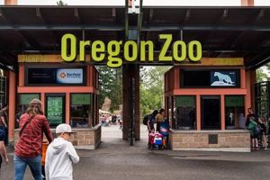 Best Hotels Near Oregon Zoo: Your [Year] Guide | Living in Oregon: Moving Tips, Cost of Living & Best Cities