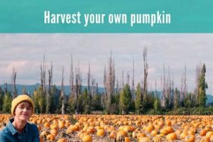 Spooky Fun: Portland Oregon Halloween Activities Guide Living in Oregon: Moving Tips, Cost of Living & Best Cities Spooky Fun: Portland Oregon Halloween Activities Guide | Living in Oregon: Moving Tips, Cost of Living & Best Cities