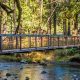 Explore Metzler Park Oregon: Camping &amp; Hiking | Living in Oregon: Moving Tips, Cost of Living & Best Cities