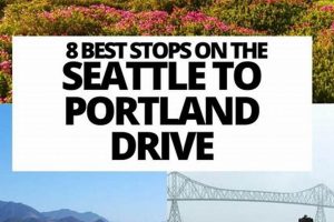 Easy Drive: Seattle to Portland Oregon & Back! Living in Oregon: Moving Tips, Cost of Living & Best Cities Easy Drive: Seattle to Portland Oregon & Back! | Living in Oregon: Moving Tips, Cost of Living & Best Cities