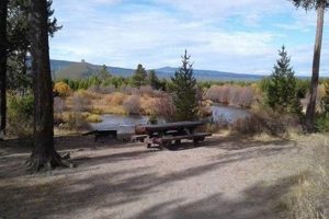 Discover East Davis Lake Campground Oregon: Your Getaway! Living in Oregon: Moving Tips, Cost of Living & Best Cities Discover East Davis Lake Campground Oregon: Your Getaway! | Living in Oregon: Moving Tips, Cost of Living & Best Cities