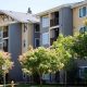 Visit Willamette Gardens Eugene Oregon: A Local Gem! | Living in Oregon: Moving Tips, Cost of Living & Best Cities