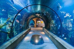 Careers: Oregon Coast Aquarium Jobs & More! Living in Oregon: Moving Tips, Cost of Living & Best Cities Careers: Oregon Coast Aquarium Jobs & More! | Living in Oregon: Moving Tips, Cost of Living & Best Cities
